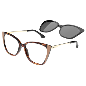 �culos de Grau Colcci BANDY 4 C6188 FH5