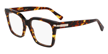 �culos de Grau Ferragamo SF3009