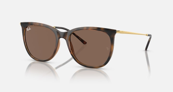 �culos de Sol RayBan RB4403L 668873 